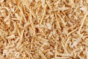 بستر چیست و بستر مناسب چه ویژگی هایی دارد؟